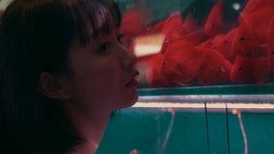 暴躁的的吃瓜少女,揭秘校园里的麻辣辣观察日记