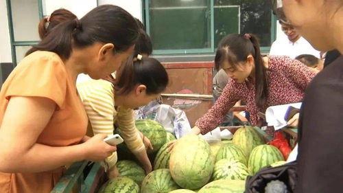 村里吃瓜的小孩,村中小孩吃瓜趣事多