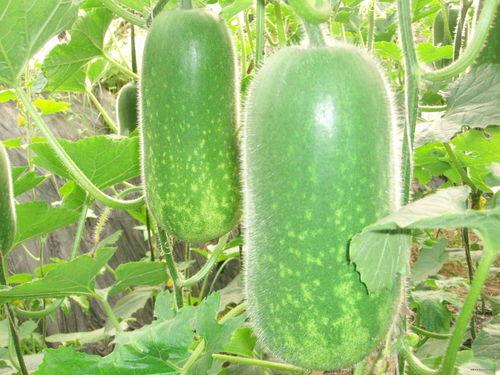 普明吃瓜,揭秘娱乐圈背后的那些事儿